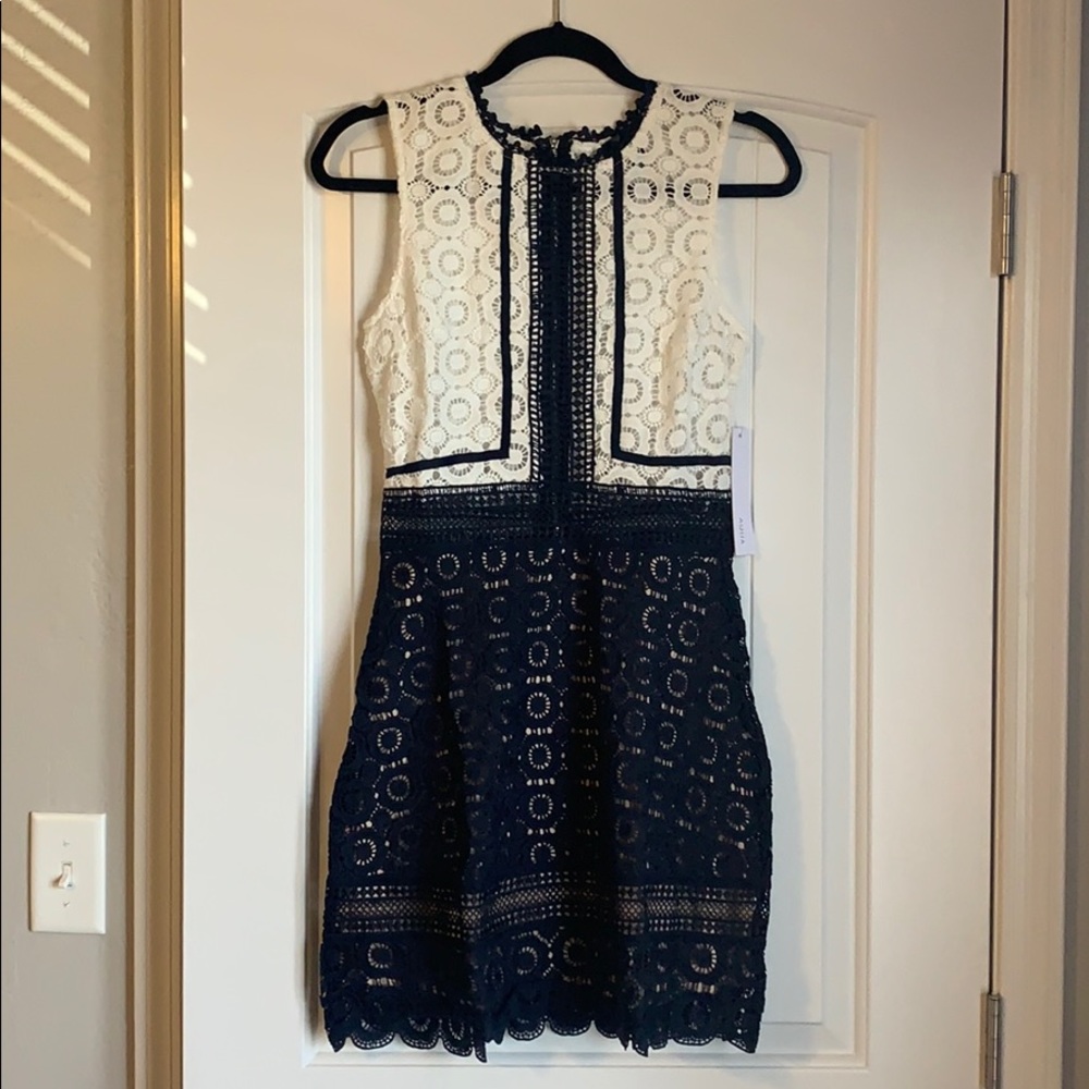 AQUA Lace Colorblock Dress - Never Worn